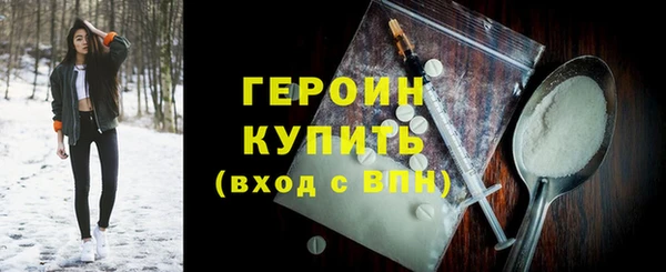 молекула духа Вяземский