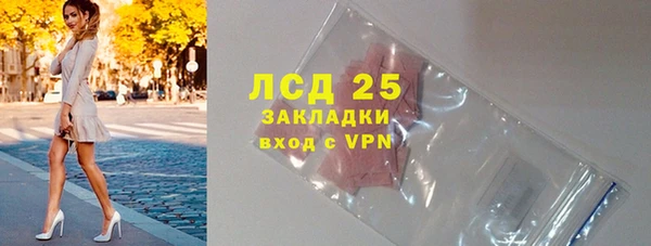 молекула духа Вяземский