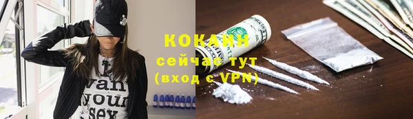 молекула духа Вяземский