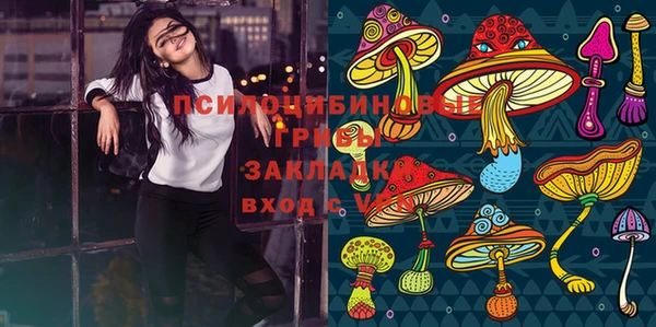 молекула духа Вяземский