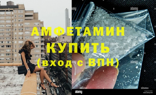 молекула духа Вяземский