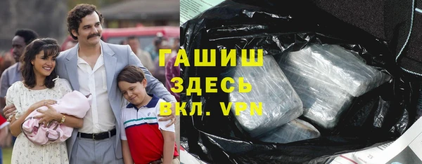 молекула духа Вяземский