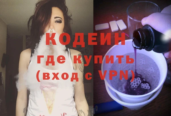 молекула духа Вяземский