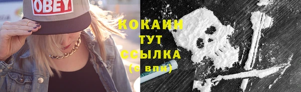 молекула духа Вяземский