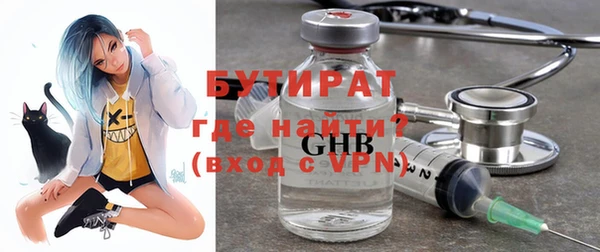 молекула духа Вяземский